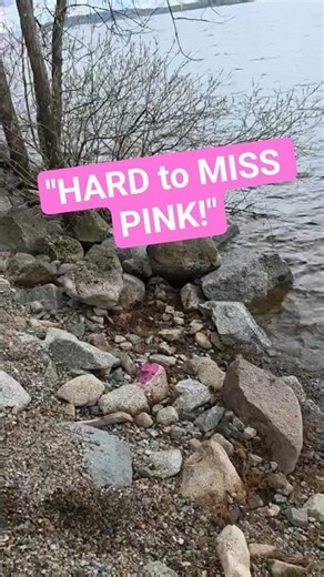 Hard to Miss Pink #shorts #spring #story