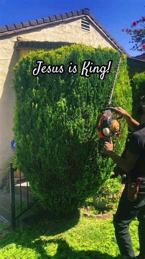 Jesus is Lord #jesuschrist #motivation #walkinspiritoftheholyspirit #blessed #youtubeshorts