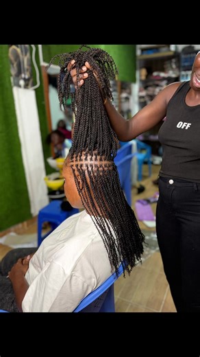 Understanding Micro Twists: A Comprehensive Guide