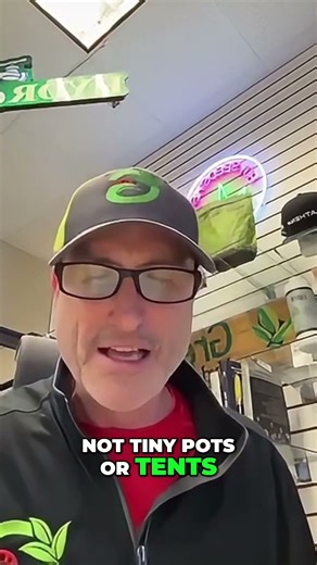 Aquaponics Secret: Fish Nutrients, No Smell! #shorts