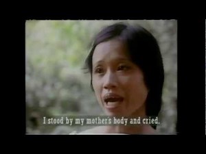 Four Hours in My Lai 5/7