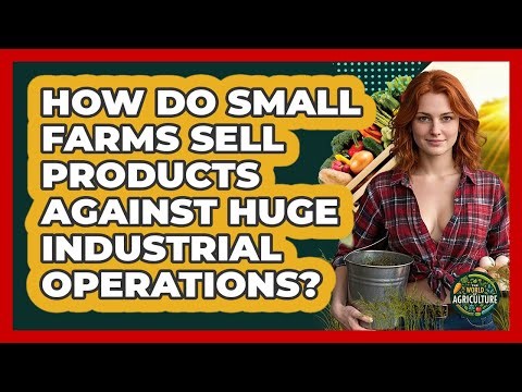 How Do Small Farms Sell Products Against Huge Industrial Operations? - The World of Agriculture