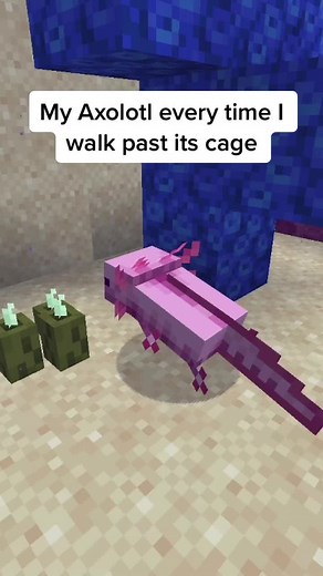 Building a Perfect Axolotl Enclosure in Minecraft