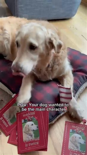 Cards so beautiful, everyone wants to get their paws on them 🐾💌 Explore our 2025 Holiday Card designs, including the exclusive Premium Collection with gloss and foil you won’t find anywhere else. Browse now and send a card that stands out for all the right reasons. ✨ #christmascards #trulyengagingchrismas #trulyengaging #christmascard #dogchristmas | Truly Engaging