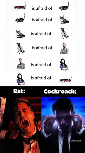Cockroach meme 🪳 lol 😂 #shorts
