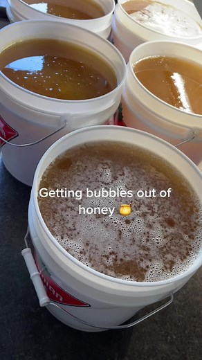 Eliminating Bubbles from Liquid Honey Easily