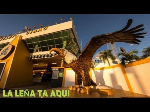 Visita al Estadio Cibao |Aguilas Cibaeñas| Experiencia Unica