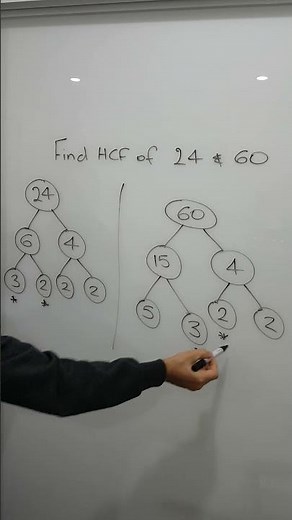 How to 𝙁𝙄𝙉𝘿 highest common factor of 2 numbers using factor trees