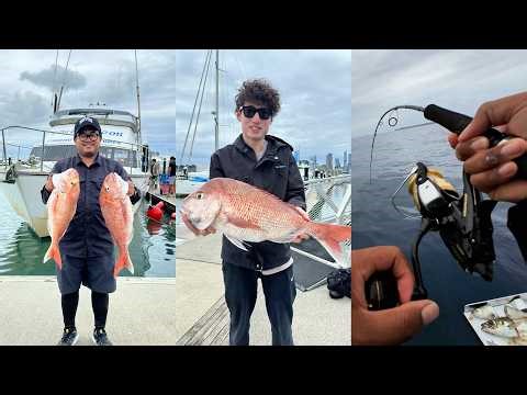 Fishing on a Charter Boat from Auckland CBD