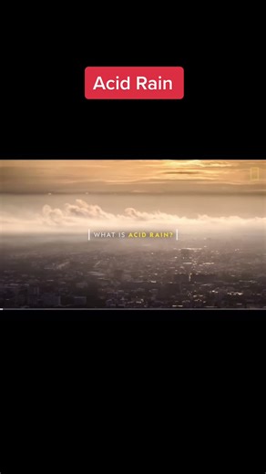 Understanding Acid Rain: Causes, Effects, and Solutions