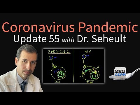 Coronavirus Pandemic Update 55: How COVID-19 Infection Attacks The Immune System & Differs From HIV