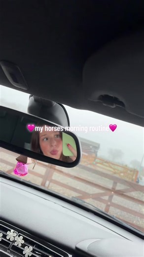My Horses' Morning Routine: A Day in the Life