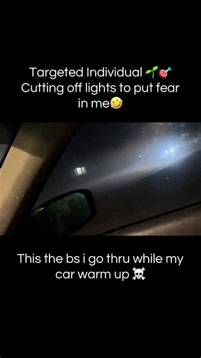 Understanding Targeted Individuals and Light Manipulation