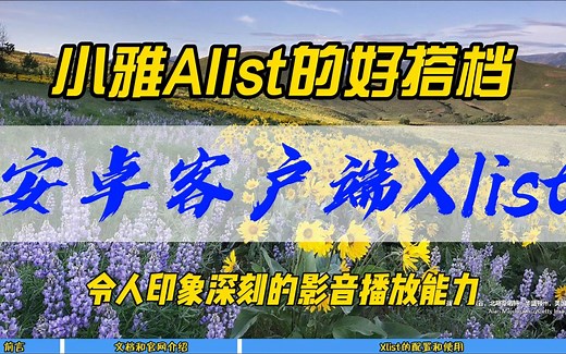 小雅Alist的好搭档，安卓客户端Xlist，令人印象深刻的影音播放能力~