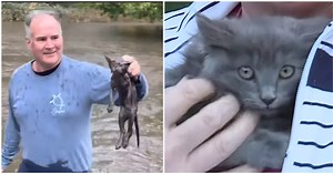 Man Braves Floodwaters And Saves Kitten From Drowning