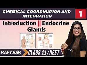 Chemical Coordination & Integration 01 || Introduction || Endocrine Glands || Class 11/NEET