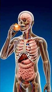 What Happens If You Eat Onions? | Surprising Health Benefits & Side Effects Explained #onion ​