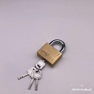 Durable Anti-Theft Brass Padlock Set with Master Key System High Quality Waterproof Locks