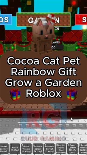 Cocoa Cat Pet - Rainbow Gift - Christmas Event - Grow a Garden- Roblox Gameplay #foryou #viral #fyp