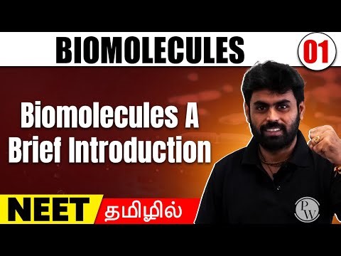 Biomolecules A Brief Introduction | Biomolecules 01 | Zoology in Tamil | Class11/ NEET