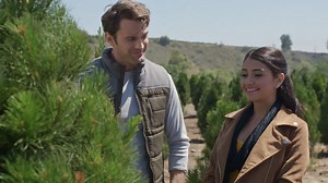 Watch A Wedding for Christmas for Free Online | Pluto TV