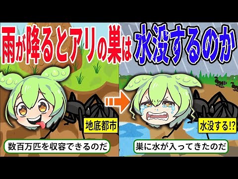 雨が降ったらアリの巣はどうなるのか？仕組みや生態について徹底解説【ずんだもん＆ゆっくり解説】
