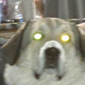 j_games_vlogs - Twitch