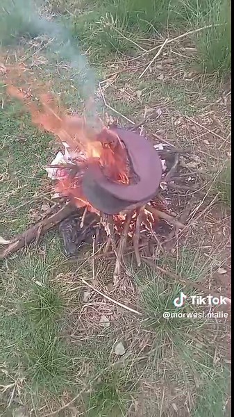 Explore Creator Insights on TikTok with Morwesi Series