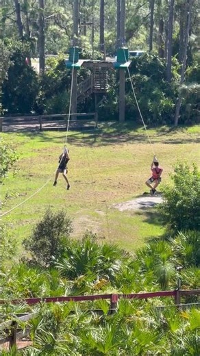 TreeUmph Course 3 (11-1-25)