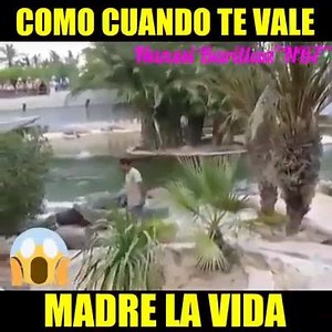 🐊😵🤔 La vida es un riesgo carnal 😵🤔🐊 | chingonatv