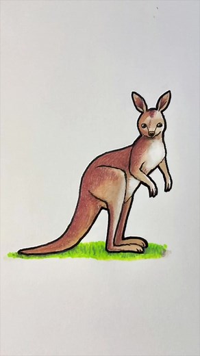 Learn How to Draw a Kangaroo with this Step-by-Step Tutorial!