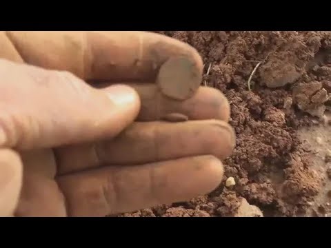 Amazing Finds With the Garrett ACE 250 Metal Detector