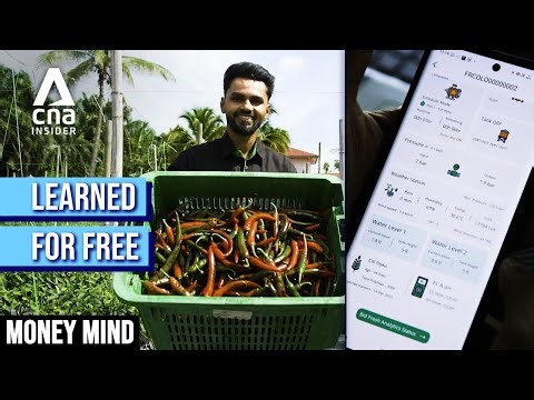 Malaysian Gen Z Engineer Builds High-Yield Business Using Free Online Videos | Money Mind