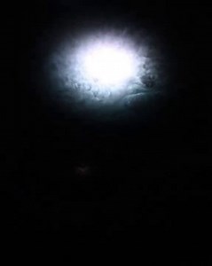 Lightning over Amazon Rain Forest: Orbital view | International Space Station FriendsofNASA.org: Expedition 72 flight engineer and NASA astronaut Don Pettit: "OK, this is kind of out there and caters to your inner Uber-Geek. Nadir view of Transient Luminous Events (TLE ) or upper atmospheric lightning. This clip real time is about 6 seconds over the Amazon basin and shows a number of TLE displays from Sprites to blue jets from a downward looking view." NASA Astronaut Donald R. Pettit Biography: 