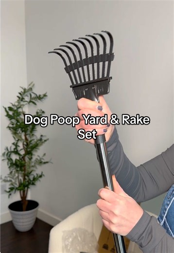 Essential Dog Poop Clean-Up Tips for Spring