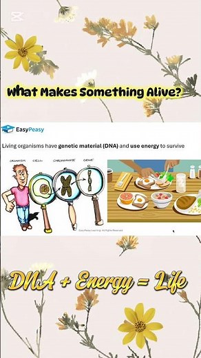What Makes Living Things Alive? | DNA & Energy Explained