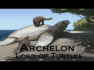 Prehistoric Breakdown: Archelon