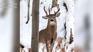 Ein ganz besonderes Tier! | wetter.com