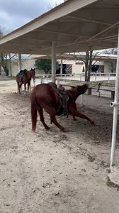 7.6M views · 18K reactions | (Credit of this video and ownership of...