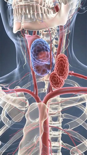 A Simple Lump or Cancer? Understanding the Difference Finding a new lump in your body is a major source of anxiety. It is critical to know that not all lumps (gulti) are cancerous. Many are benign. Benign Lumps : These are non-cancerous. Common examples include lipomas , cysts , or swollen lymph nodes. They are generally not life-threatening. Malignant Lumps : These are cancerous tumors that can invade surrounding tissue. They may feel hard, painless, and fixed in one position, often growing in 