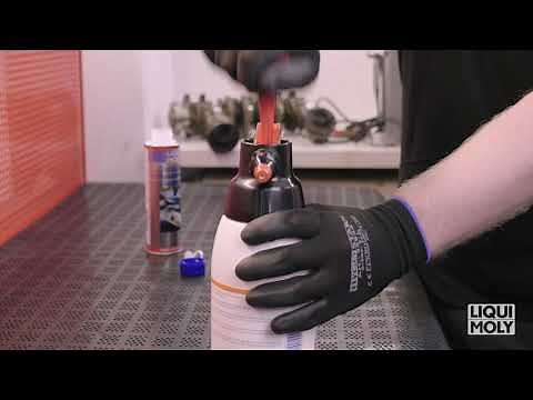 Liqui Moly: Catalytic System Cleaner