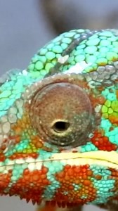 171K views · 668 reactions | Making art from simple everyday things | Bobby Duke Arts | Facebook