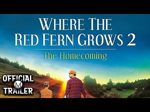 WHERE THE RED FERN GROWS II (1992) | Official Trailer | 4K