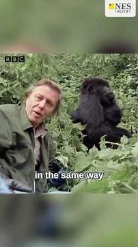 David Attenborough at 100: How He Changed Life Science Forever