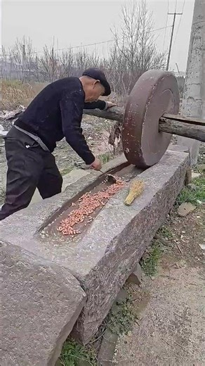 Traditional Chinese Stone Trough Mill: How Rural Farmers Crush Peanuts Without Electricity