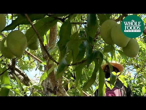 Whole Trade® Guarantee - Haitian Francis Mangoes - The Sweetest Mango?