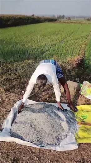 vari panta baga pandalante .urea &gaddi mandu veyali