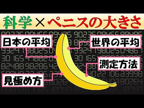 [Let's get to know your body] The science behind penis size [How to tell the average size]