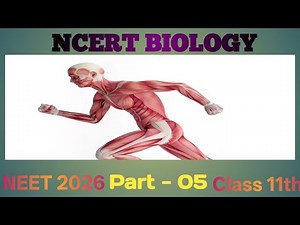 Structure Of Skeletal muscle And Proteins Of Myofibril