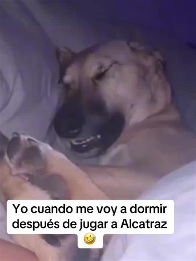 Alcatraz Strategies in Call of Duty Mobile Gameplay